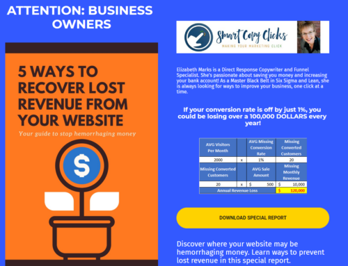 Lost Revenue Landing Page